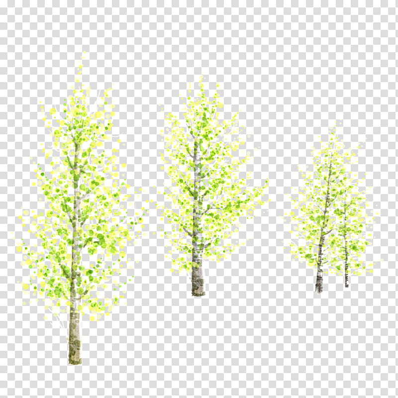 Family Tree, Larch, Painting, White Poplar, Trunk, Bark, Cottonwood, Claude Monet transparent background PNG clipart