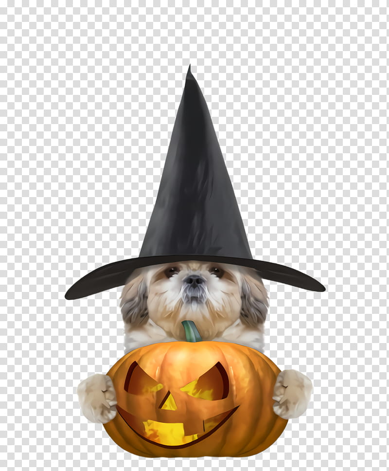 Party hat, Witch Hat, Dog, Trickortreat, Candy Corn, Pumpkin, Shih Tzu transparent background PNG clipart