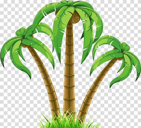 Palm Tree Drawing, Palm Trees, Document, Plant, Flowerpot, Arecales, Plant Stem, Grass transparent background PNG clipart