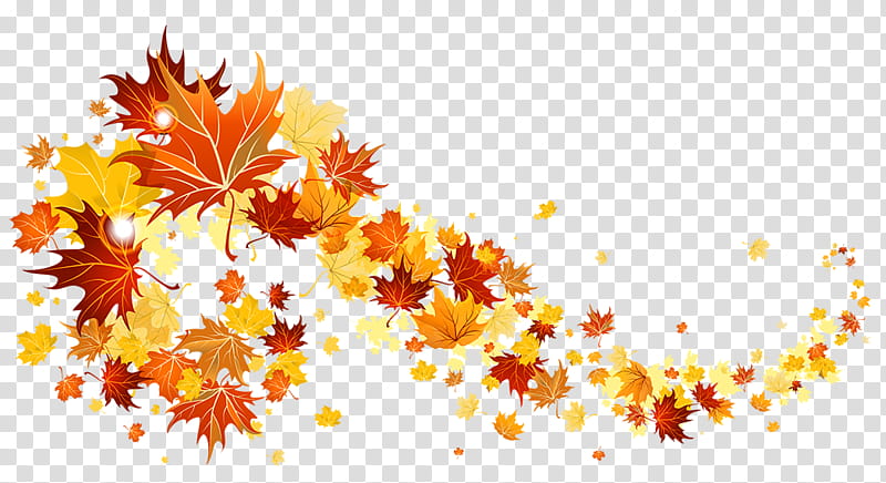 Maple leaf, Yellow, Orange, Tree, Autumn, Plant, Plane transparent background PNG clipart