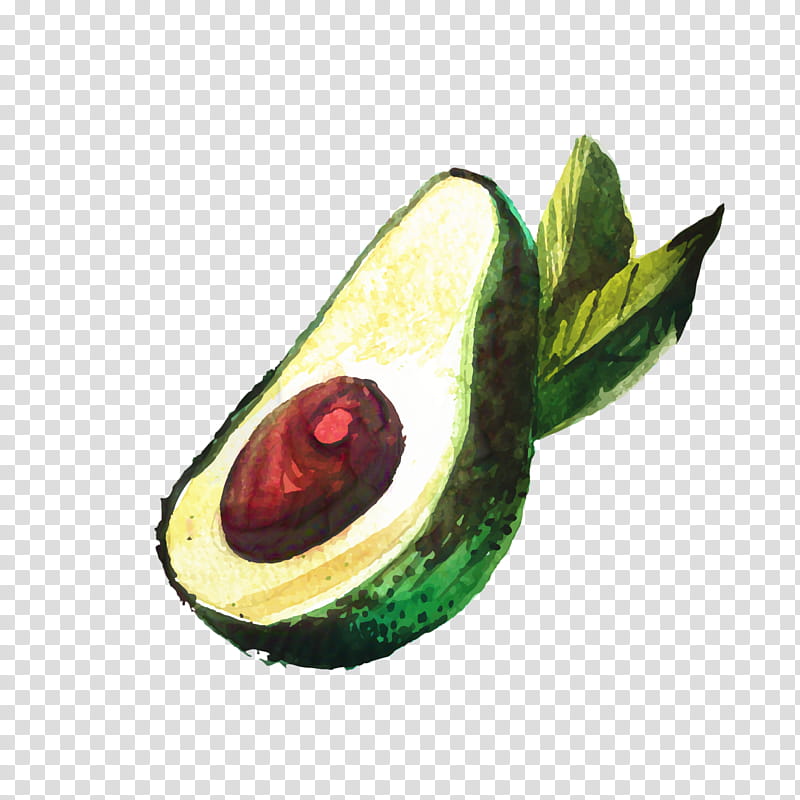 Painting, Avocado, Drawing, Fruit, Food, Cartoon, Avocado Toast, Plant transparent background PNG clipart