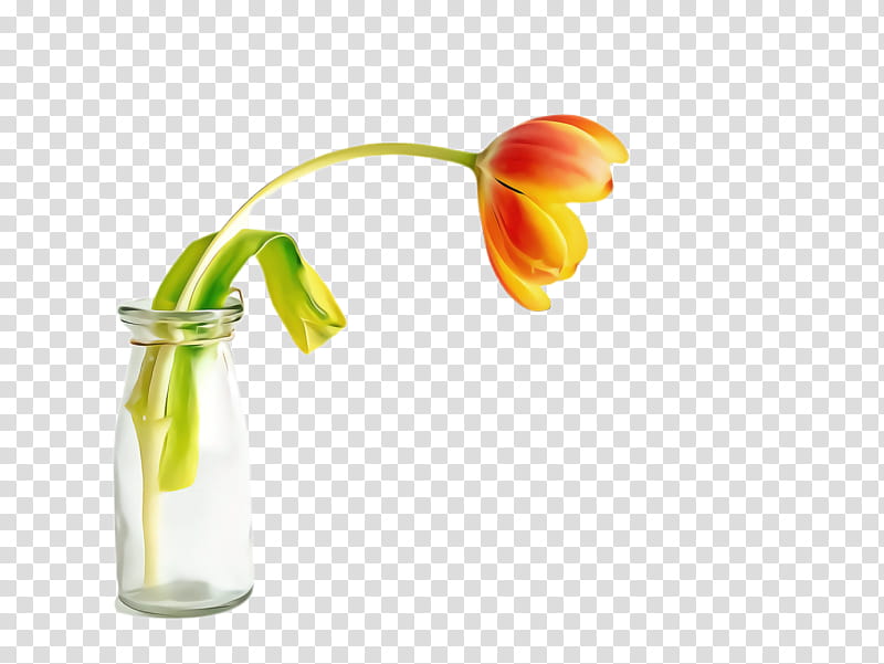 Flowers, Tulip, Flora, Blossom, Artstone, Vase, Cut Flowers, Plants transparent background PNG clipart
