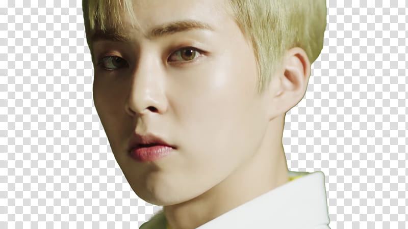 EXO CBX Blooming Day MV, Xiumin South Korean singer transparent background PNG clipart