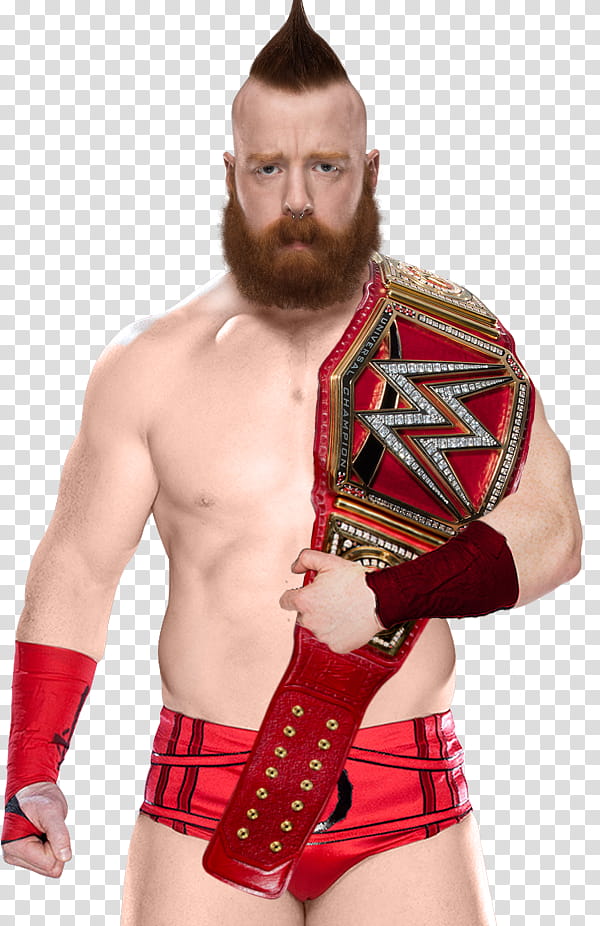 WWE Sheamus transparent background PNG clipart