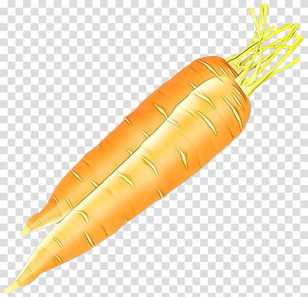 carrot vegetable root vegetable wild carrot food, Baby Carrot, Arracacia Xanthorrhiza, Plant transparent background PNG clipart