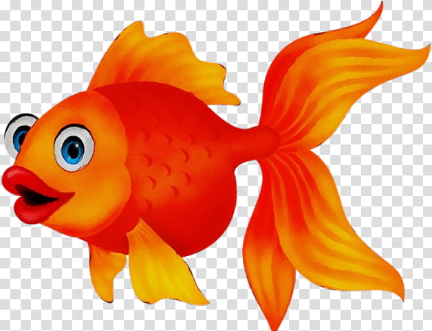 Orange, Watercolor, Paint, Wet Ink, Fish, Goldfish, Fin, Cartoon transparent background PNG clipart