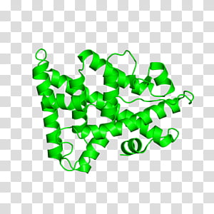 Green, Line transparent background PNG clipart thumbnail