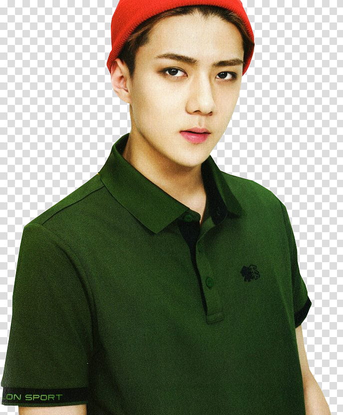 Exo Ks transparent background PNG clipart