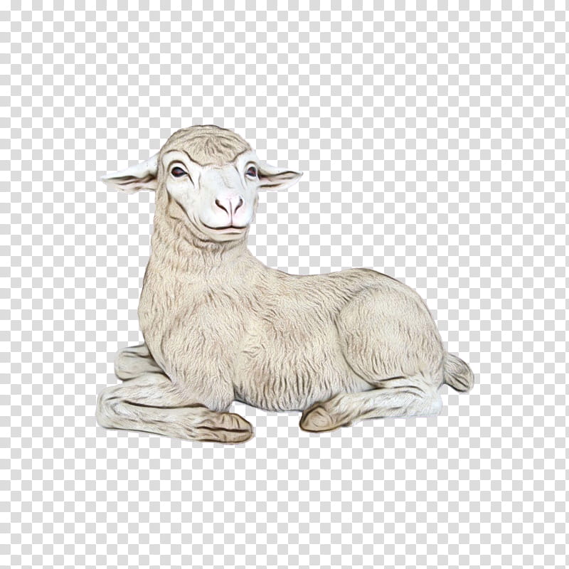 Drawing Of Family, Merino, Rove Goat, Cartoon, Character, Painting, Animal, Sculpture transparent background PNG clipart