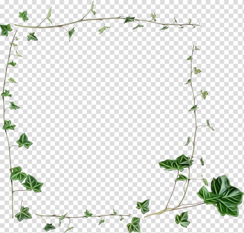 Background Flower Frame, BORDERS AND FRAMES, Vine, Drawing, Common Ivy, Frames, Plant, Leaf transparent background PNG clipart