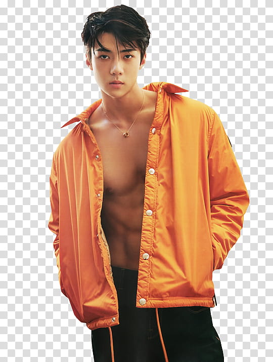 EXO SEHUN transparent background PNG clipart