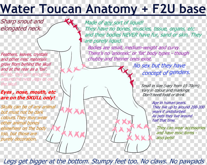 Water Toucan Anatomy And Base READ DESC transparent background PNG clipart