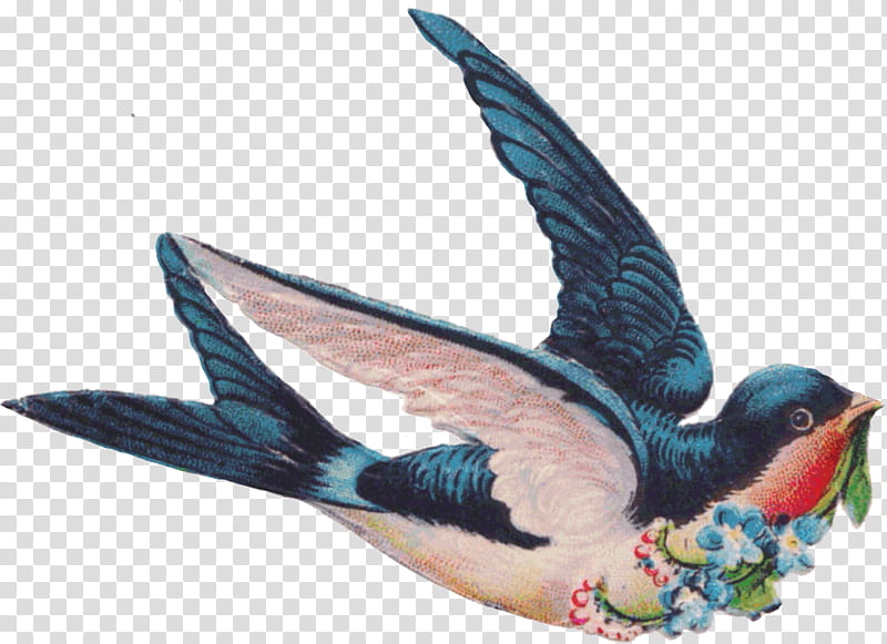 Vintage Birds, blue and white bird artwork transparent background PNG clipart