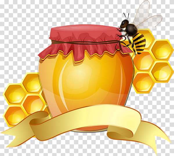 Bee, Honey, Drawing, Honey Bee, Honeycomb, Yellow, Insect, Pollinator transparent background PNG clipart