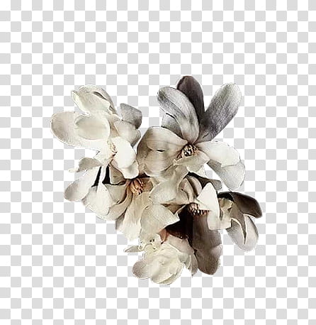Flowers , white and gray flowers transparent background PNG clipart