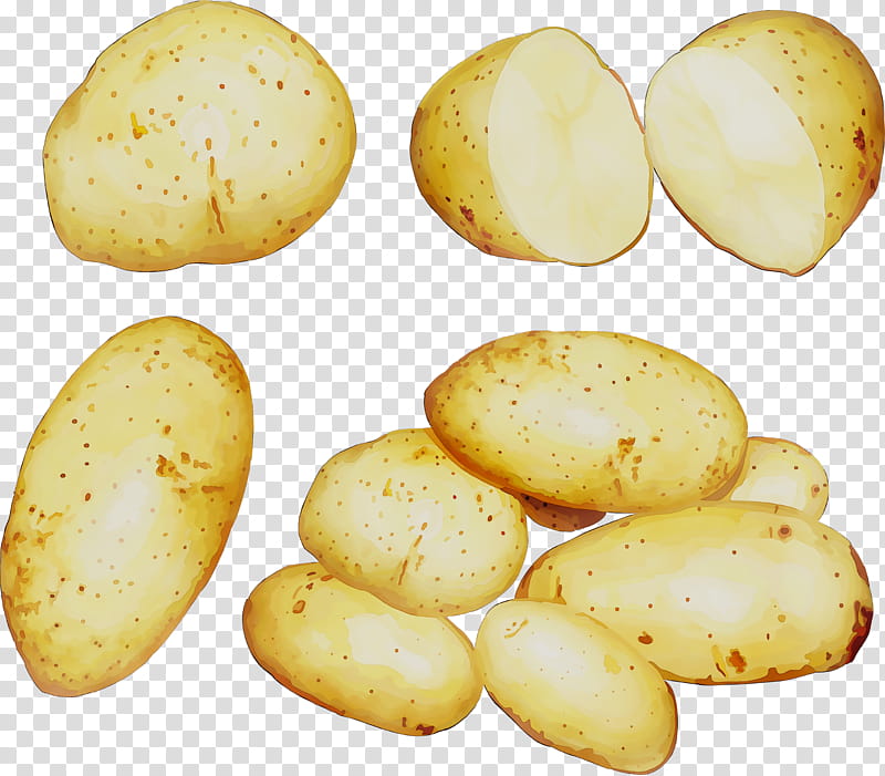 Potato, Russet Burbank Potato, Yukon Gold Potato, Food, Plant, Brazil Nut, Vegetable, Solanum transparent background PNG clipart