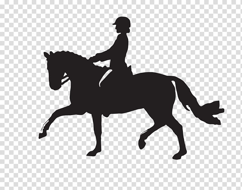 horse english riding equestrianism bridle animal sports, Dressage, Horse Supplies, Halter transparent background PNG clipart