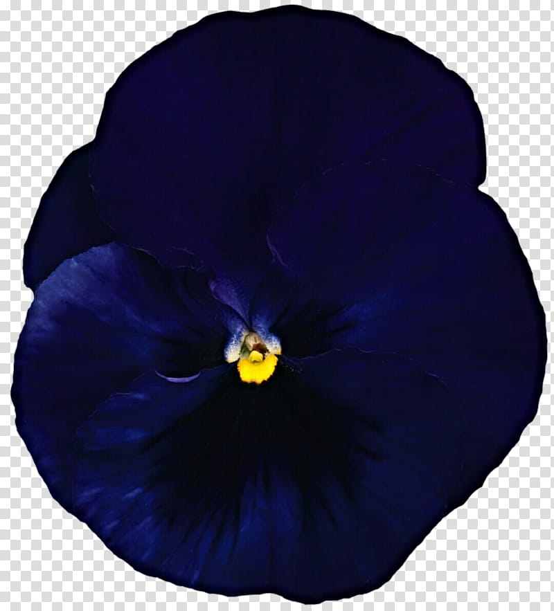 Montgomery Pansy transparent background PNG clipart