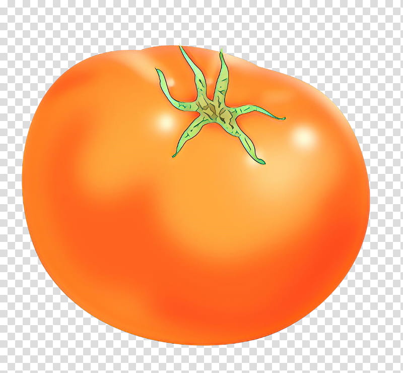 Tomato, Cartoon, Plum Tomato, Food, Tangerine, Mandarin Orange, Bush Tomato, Grapefruit transparent background PNG clipart