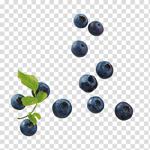 Blueberry Fruit, Bilberry, Huckleberry, Juniper Berry, Superfood, Cobalt Blue, Plant transparent background PNG clipart