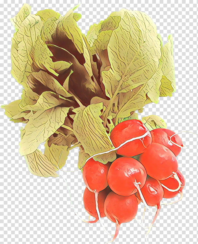 radish vegetable natural foods food plant, Cartoon, Flower, Leaf, Superfood, Fruit transparent background PNG clipart