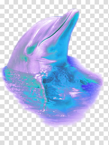 WEBPUNK , Purple Dolphin Illustration Transparent Background PNG.