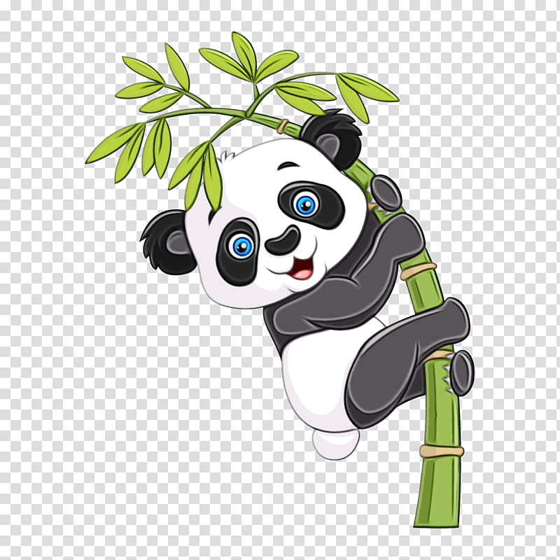  Bamboo  Watercolor Paint Wet Ink Giant Panda  Bear 