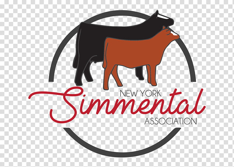 New York City, Simmental Cattle, Logo, Dog, Cartoon, Character, Snout, Text transparent background PNG clipart