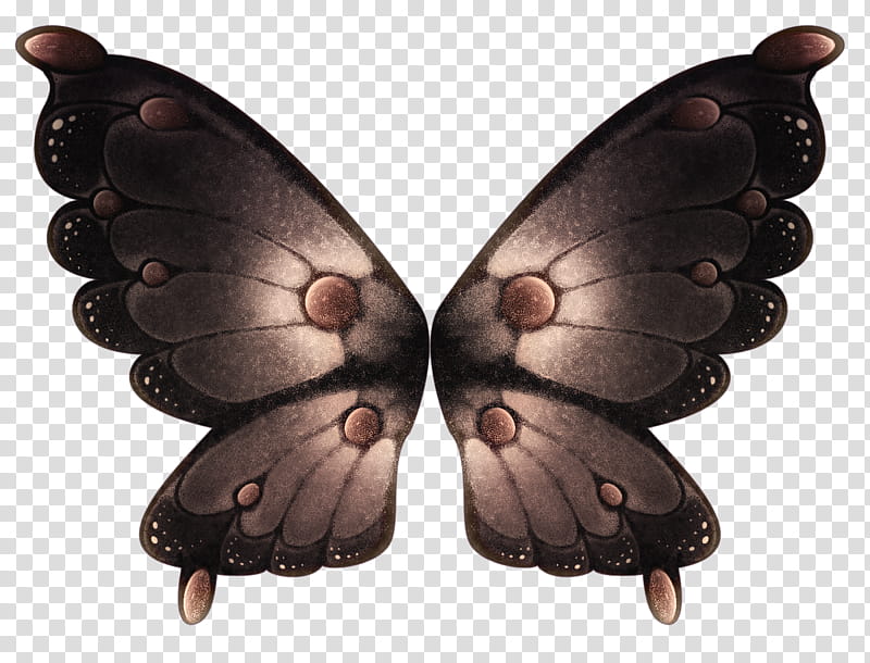 Object Wings , gray and black butterfly transparent background PNG clipart