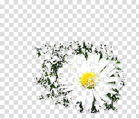 Distorted Flowers transparent background PNG clipart