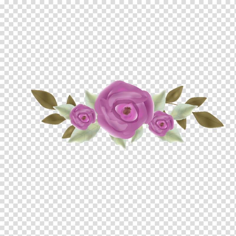 Drawing Of Family, Garden Roses, BORDERS AND FRAMES, Flower, Painting, Frames, Cut Flowers, Pink transparent background PNG clipart