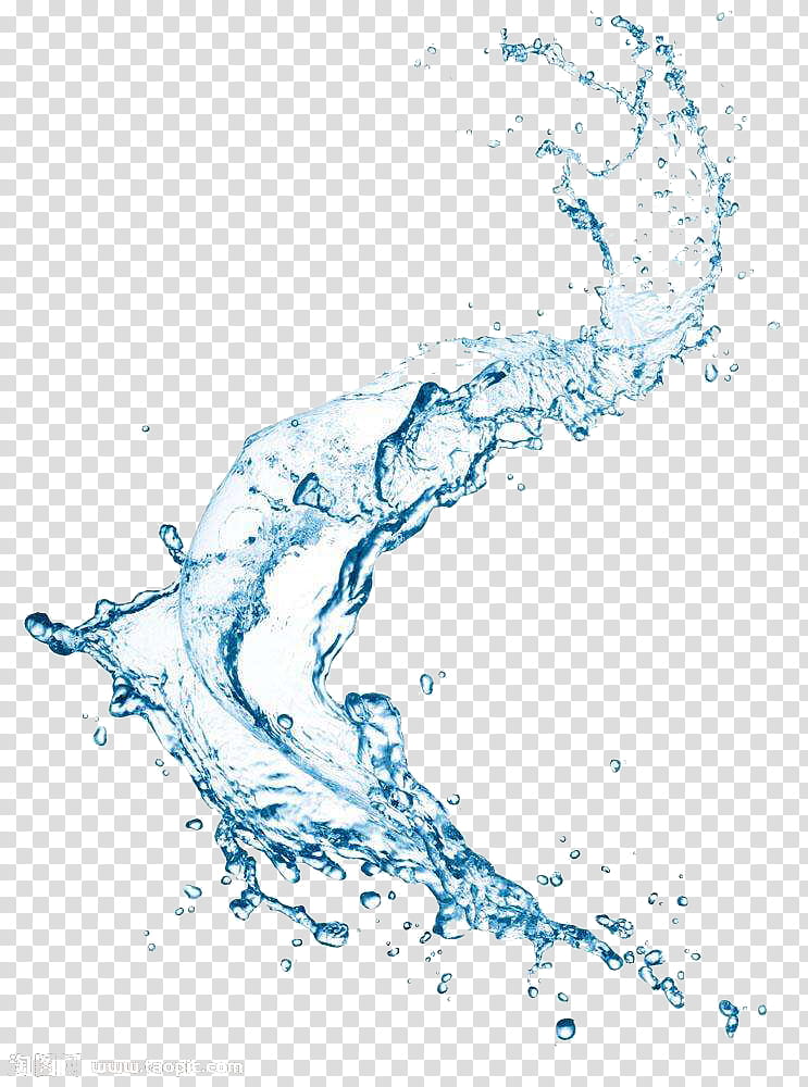 Wave, Water, Water Treatment, Blue, Line, Area, Sky, Tree transparent background PNG clipart