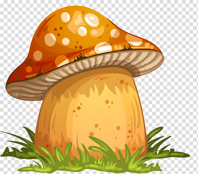 Mushroom, Edible Mushroom, Stuffed Mushrooms, Penny Bun, Fruit, Food, Hat transparent background PNG clipart