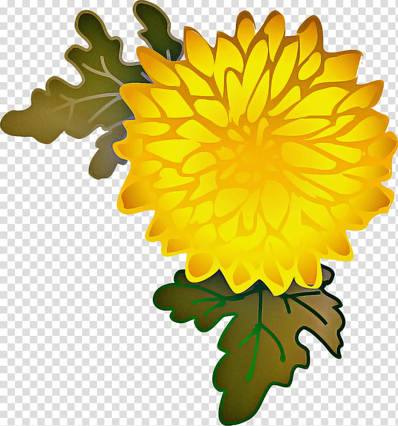 Pot Leaf, Chrysanthemum, Petal, Pot Marigold, Flower, Common Dandelion, Plants, Garland transparent background PNG clipart
