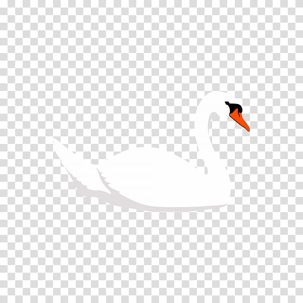 Cartoon Bird, Beak, Feather, Computer, Line, Water Bird, Sky transparent background PNG clipart