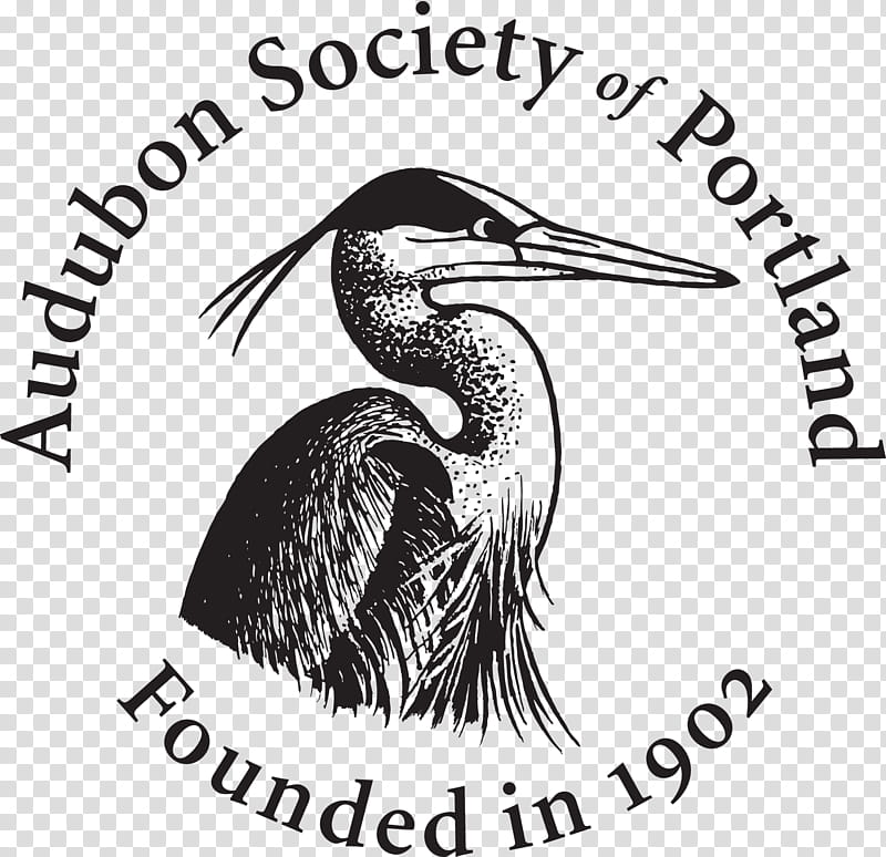 Bird Drawing, Audubon Society Of Portland, National Audubon Society, Feral Cat Coalition Of Oregon, Logo, Decal, Seabird, Pelecaniformes transparent background PNG clipart