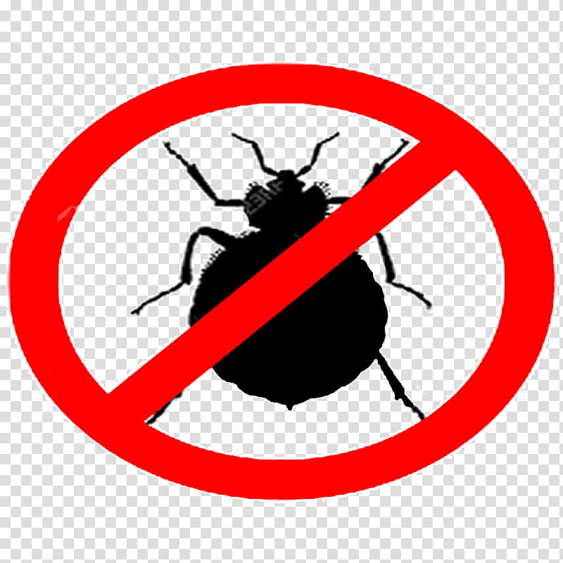 Bed, Bed Bug Bite, Mattress Encasements, Pest Control, Bed Bug Control Techniques, National Pest Management Association, Hotel, Infestation transparent background PNG clipart