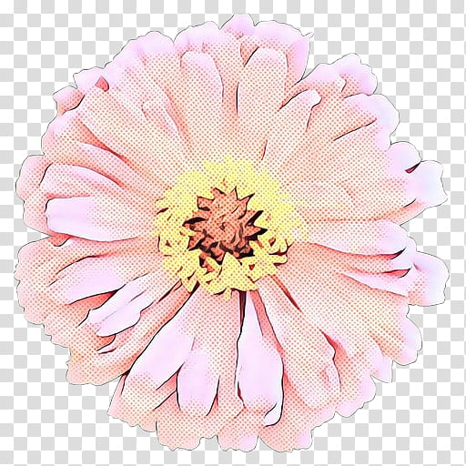 Flowers, Transvaal Daisy, Cut Flowers, Floristry, Chrysanthemum, Dahlia, Trillium Floral, Petal transparent background PNG clipart