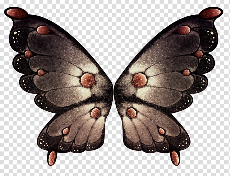 Object Wings , black and brown butterfly wings illustration transparent background PNG clipart