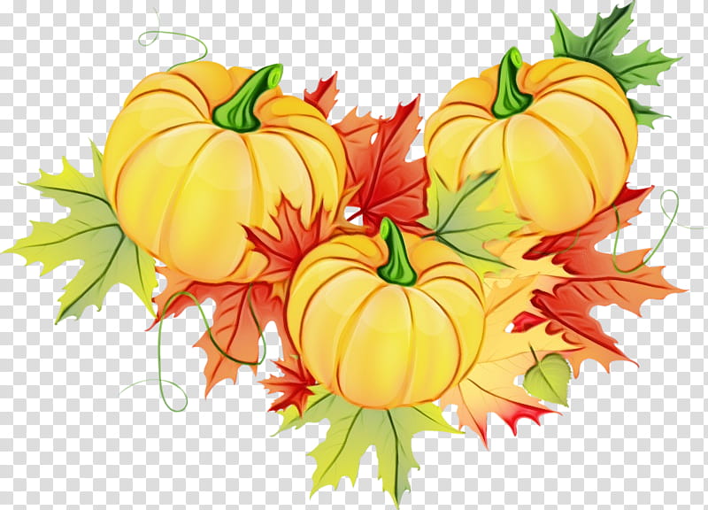 Autumn Watercolor, Paint, Wet Ink, Thanksgiving, Pumpkin, Pumpkin Pie, Turkey Meat, Calabaza transparent background PNG clipart