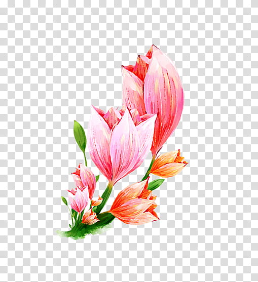 Flowers, Floral Design, Poster, Cut Flowers, Leaf, Blomsterbutikk, Plant, Petal transparent background PNG clipart