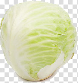 green cabbage transparent background PNG clipart