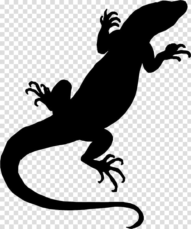 Reptile Lizard, Silhouette, Line, Gecko, True Salamanders And Newts, Scaled Reptile, Tail transparent background PNG clipart