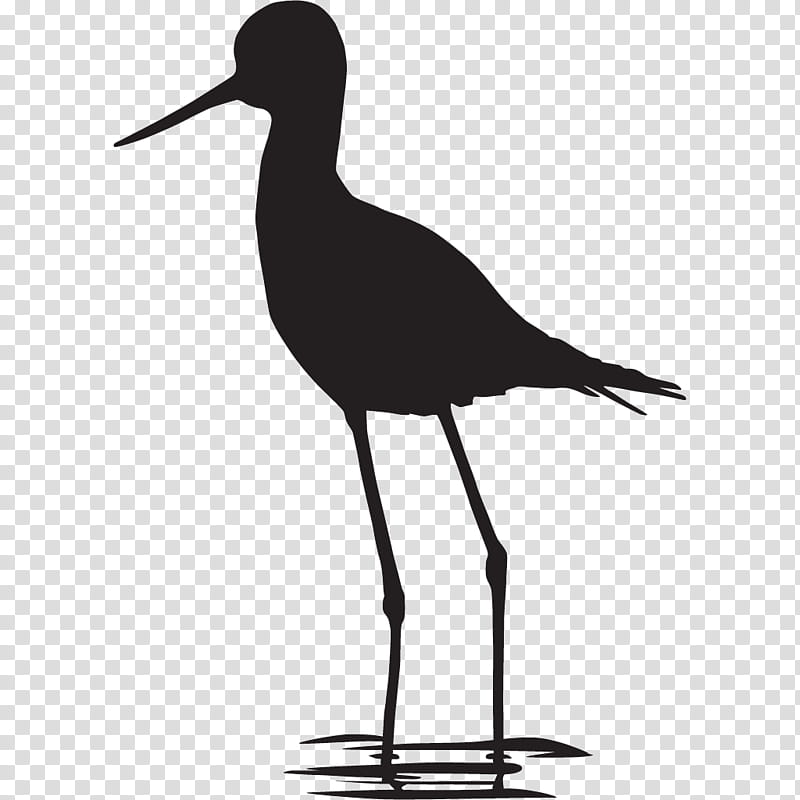 Book Black And White, Coloring Book, Black And White
, Bird, Crocodile, Paint, Page, American Avocet transparent background PNG clipart
