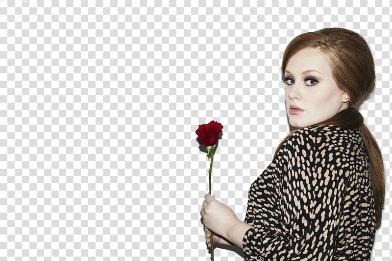 Adele transparent background PNG clipart