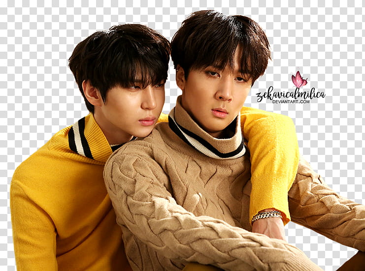 VIXX LR Ceci, men's brown top transparent background PNG clipart