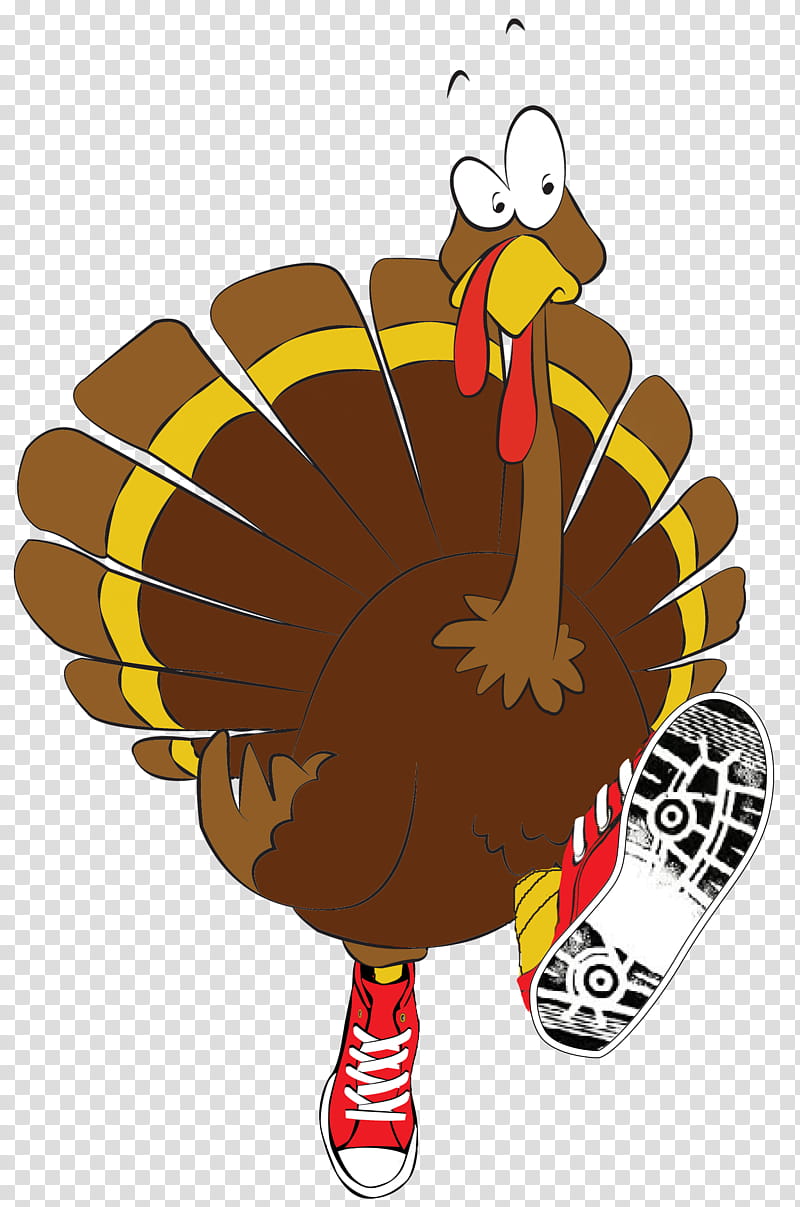 Turkey Thanksgiving, Domestic Turkey, Turkey Trot, Food, Ksje, Cartoon, 2018, Bird transparent background PNG clipart