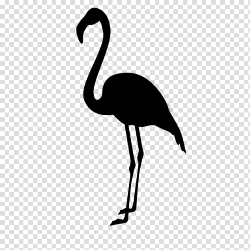 Flamingo Silhouette, Beak, Neck, Ibis, Bird, Greater Flamingo, Cranelike Bird, Water Bird transparent background PNG clipart