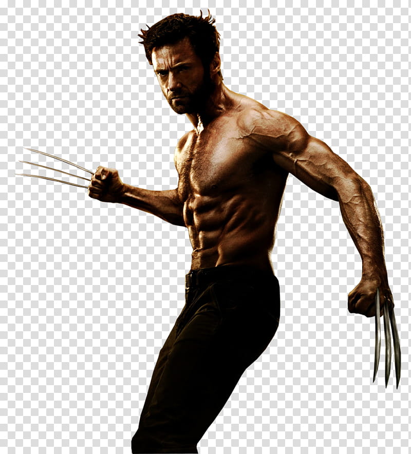 The Wolverine  Movie Render, Marvel Wolverine transparent background PNG clipart