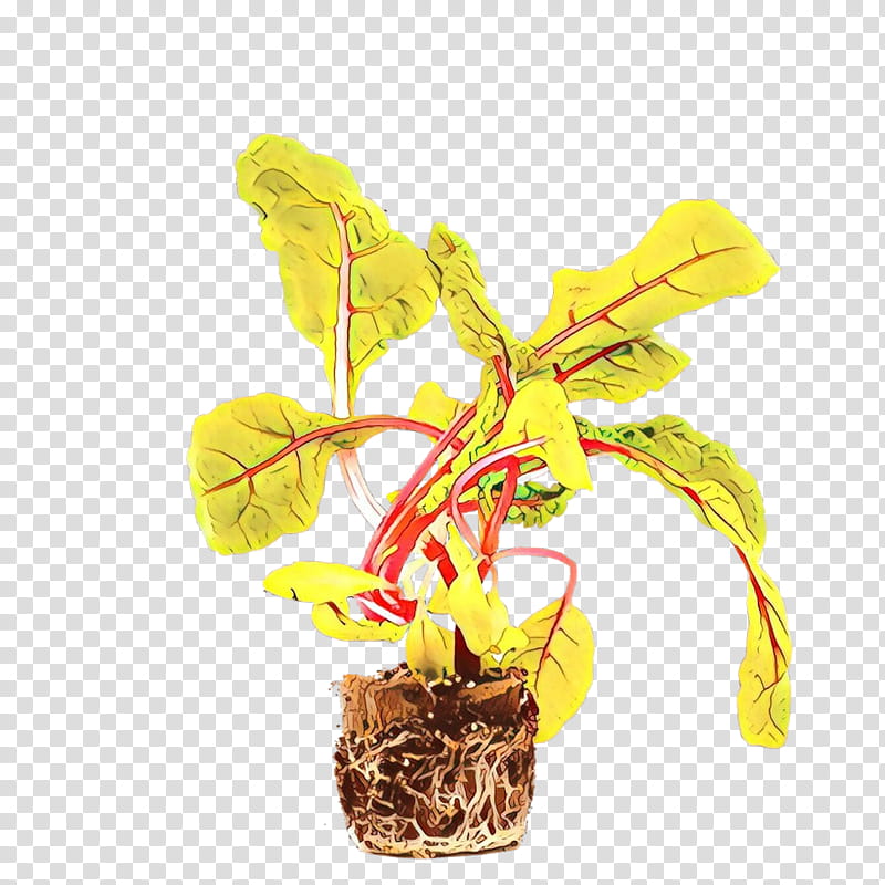 Orchid Flower, Tree, Plant, Yellow, Houseplant, Nepenthes, Flowerpot, Anthurium transparent background PNG clipart